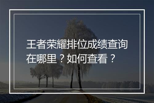 王者荣耀排位成绩查询在哪里？如何查看？