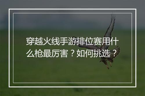 穿越火线手游排位赛用什么枪最厉害?如何挑选?