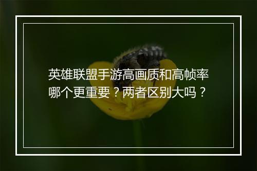 英雄联盟手游高画质和高帧率哪个更重要？两者区别大吗？