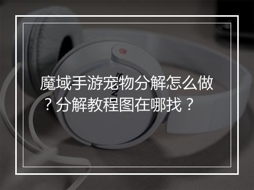 魔域手游宠物分解怎么做？分解教程图在哪找？