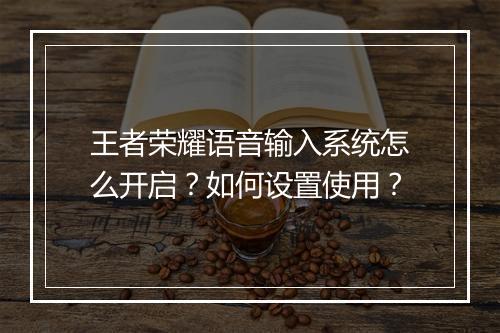 王者荣耀语音输入系统怎么开启？如何设置使用？