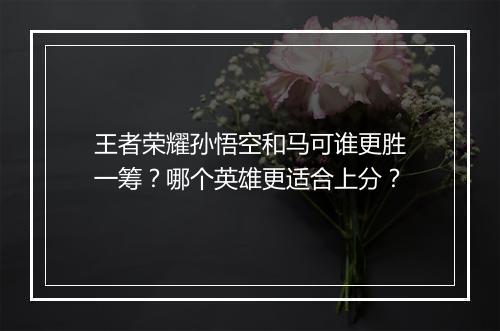 王者荣耀孙悟空和马可谁更胜一筹？哪个英雄更适合上分？