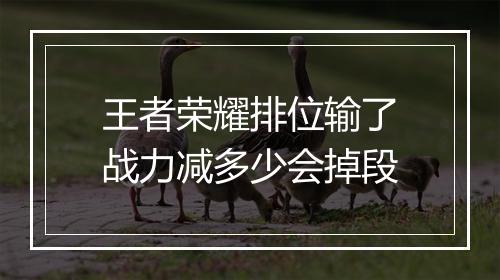 王者荣耀排位输了战力减多少会掉段