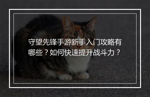 守望先锋手游新手入门攻略有哪些?如何快速提升战斗力?