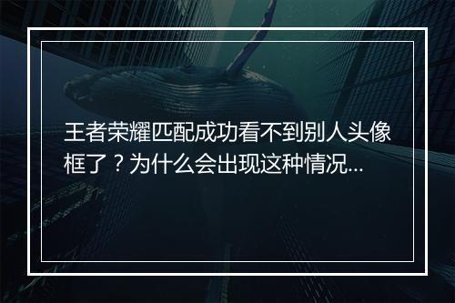 王者荣耀匹配成功看不到别人头像框了?为什么会出现这种情况?