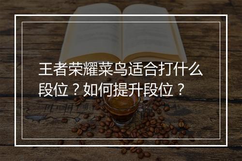 王者荣耀菜鸟适合打什么段位?如何提升段位?