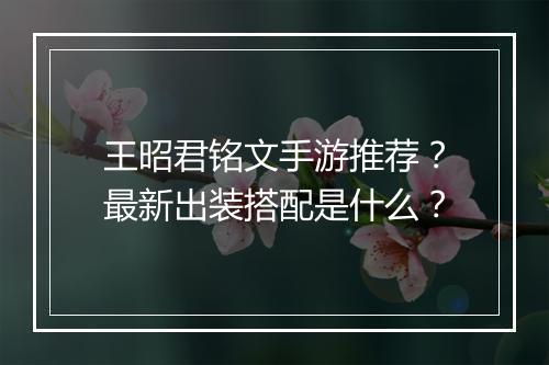 王昭君铭文手游推荐?最新出装搭配是什么?