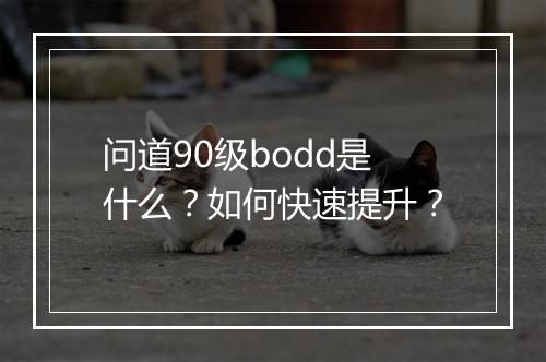 问道90级bodd是什么?如何快速提升?