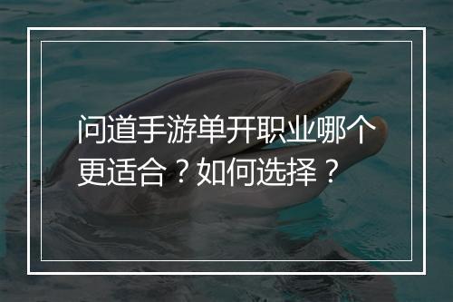 问道手游单开职业哪个更适合?如何选择?