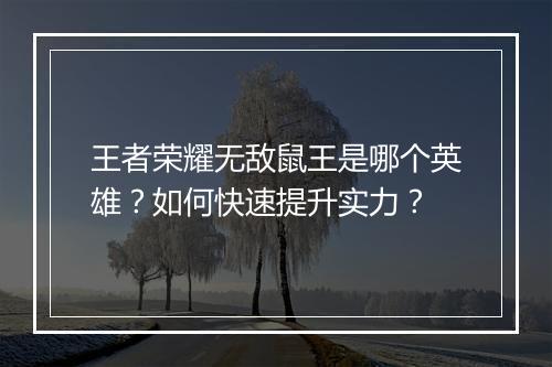 王者荣耀无敌鼠王是哪个英雄？如何快速提升实力？