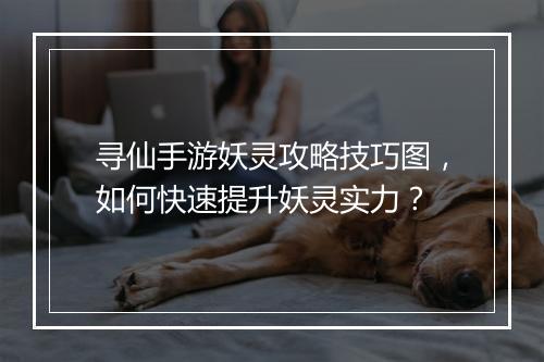 寻仙手游妖灵攻略技巧图,如何快速提升妖灵实力?