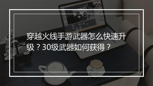 穿越火线手游武器怎么快速升级？30级武器如何获得？