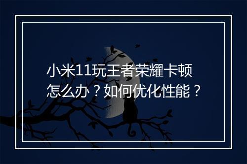 小米11玩王者荣耀卡顿怎么办？如何优化性能？