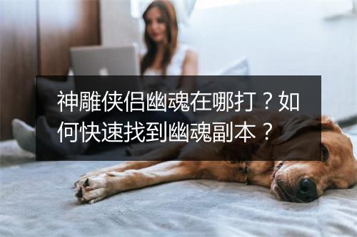 神雕侠侣幽魂在哪打？如何快速找到幽魂副本？