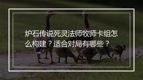 炉石传说死灵法师牧师卡组怎么构建？适合对局有哪些？