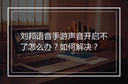 刘邦语音手游声音开启不了怎么办?如何解决?