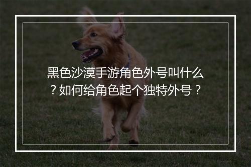 黑色沙漠手游角色外号叫什么？如何给角色起个独特外号？