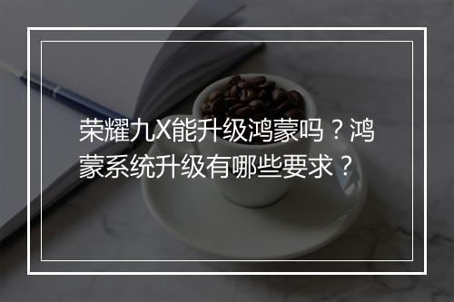 荣耀九X能升级鸿蒙吗?鸿蒙系统升级有哪些要求?