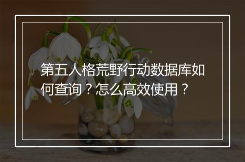 第五人格荒野行动数据库如何查询？怎么高效使用？