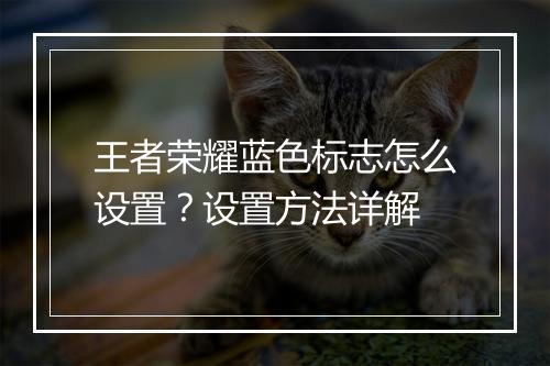 王者荣耀蓝色标志怎么设置?设置方法详解