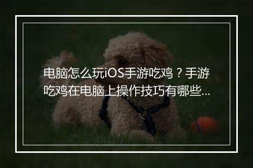 电脑怎么玩iOS手游吃鸡？手游吃鸡在电脑上操作技巧有哪些？