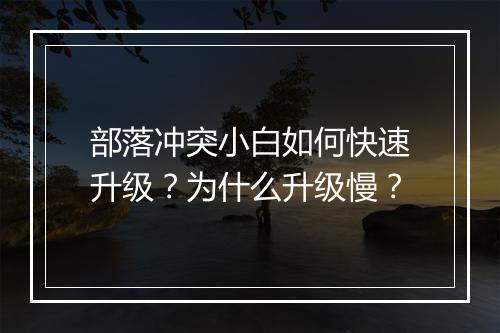 部落冲突小白如何快速升级?为什么升级慢?