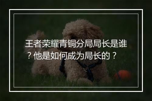 王者荣耀青铜分局局长是谁？他是如何成为局长的？