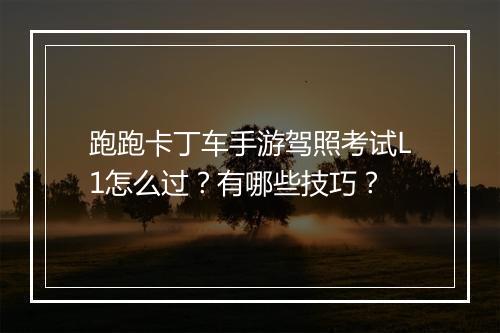 跑跑卡丁车手游驾照考试L1怎么过?有哪些技巧?