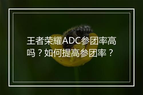 王者荣耀ADC参团率高吗？如何提高参团率？