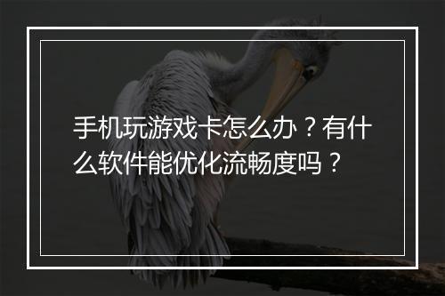 手机玩游戏卡怎么办?有什么软件能优化流畅度吗?