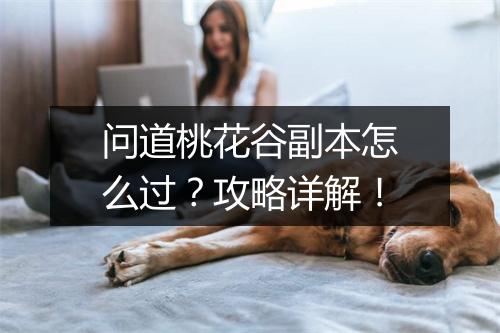 问道桃花谷副本怎么过？攻略详解！