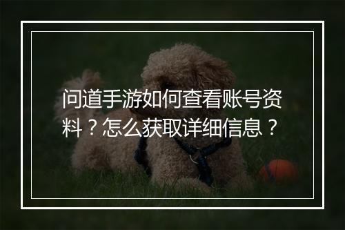 问道手游如何查看账号资料？怎么获取详细信息？