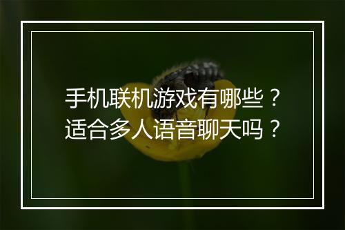 手机联机游戏有哪些？适合多人语音聊天吗？