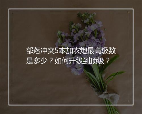 部落冲突5本加农炮最高级数是多少?如何升级到顶级?