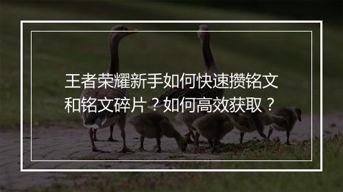 王者荣耀新手如何快速攒铭文和铭文碎片?如何高效获取?