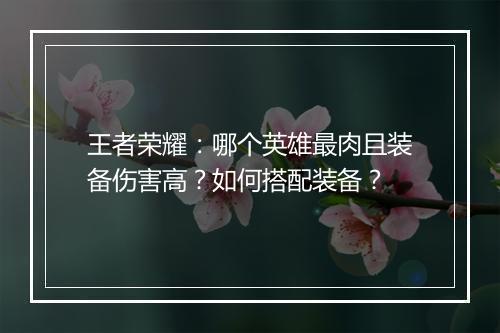 王者荣耀:哪个英雄最肉且装备伤害高?如何搭配装备?