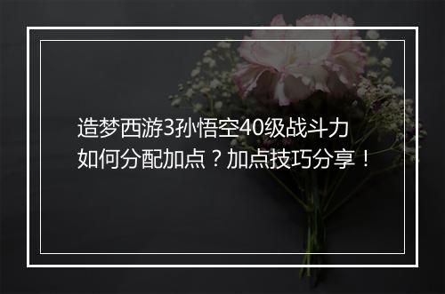 造梦西游3孙悟空40级战斗力如何分配加点？加点技巧分享！