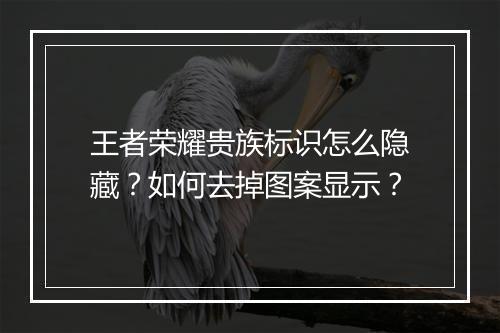 王者荣耀贵族标识怎么隐藏?如何去掉图案显示?