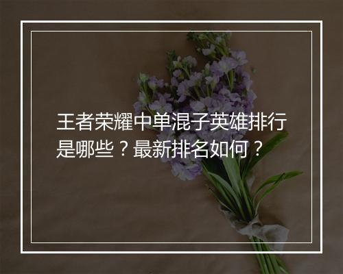 王者荣耀中单混子英雄排行是哪些?最新排名如何?