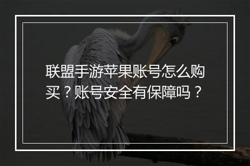 联盟手游苹果账号怎么购买？账号安全有保障吗？