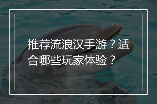 推荐流浪汉手游？适合哪些玩家体验？
