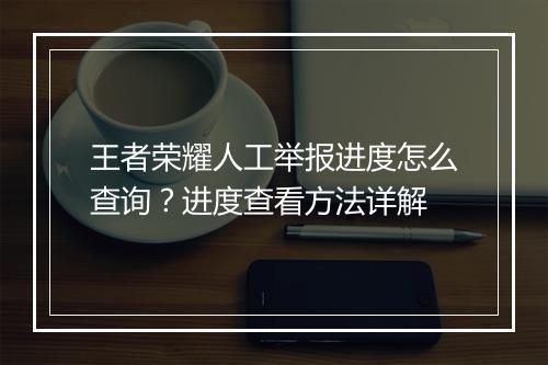 王者荣耀人工举报进度怎么查询?进度查看方法详解