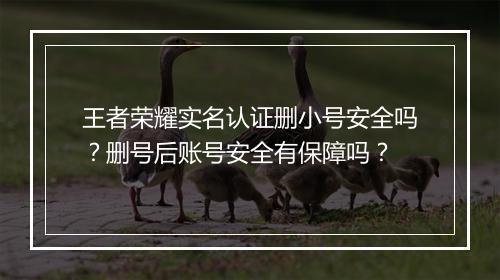 王者荣耀实名认证删小号安全吗？删号后账号安全有保障吗？