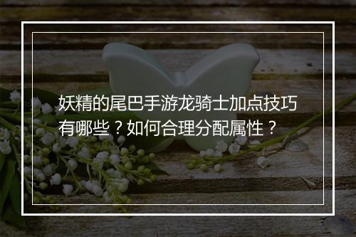 妖精的尾巴手游龙骑士加点技巧有哪些?如何合理分配属性?