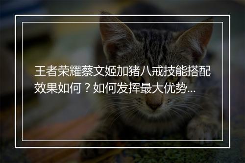 王者荣耀蔡文姬加猪八戒技能搭配效果如何？如何发挥最大优势？
