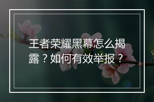 王者荣耀黑幕怎么揭露?如何有效举报?