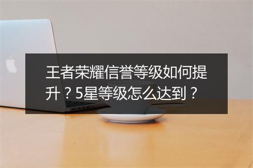 王者荣耀信誉等级如何提升?5星等级怎么达到?