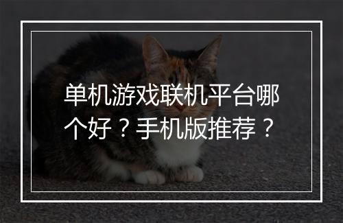 单机游戏联机平台哪个好？手机版推荐？