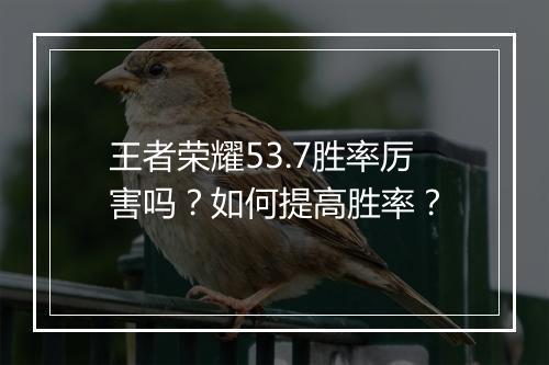 王者荣耀53.7胜率厉害吗?如何提高胜率?