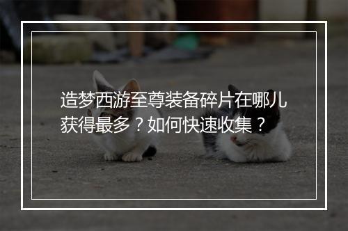 造梦西游至尊装备碎片在哪儿获得最多?如何快速收集?